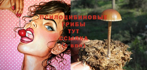 гашик Арсеньев