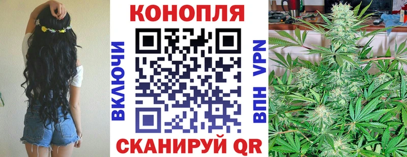 Шишки марихуана Amnesia  Куса 